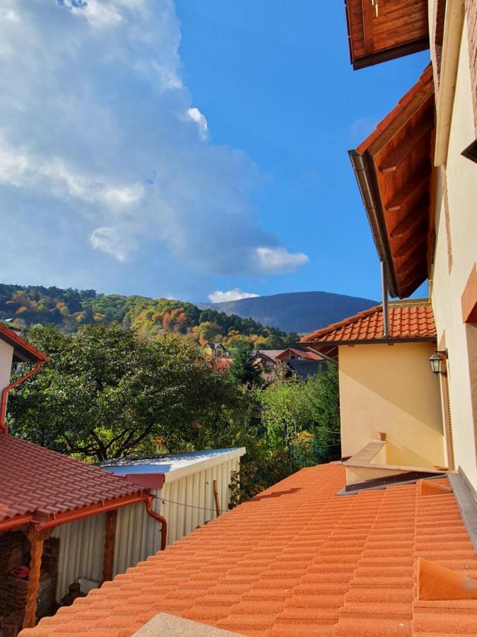Apartament La Casa In Curte Comuna Appartement Codlea Buitenkant foto