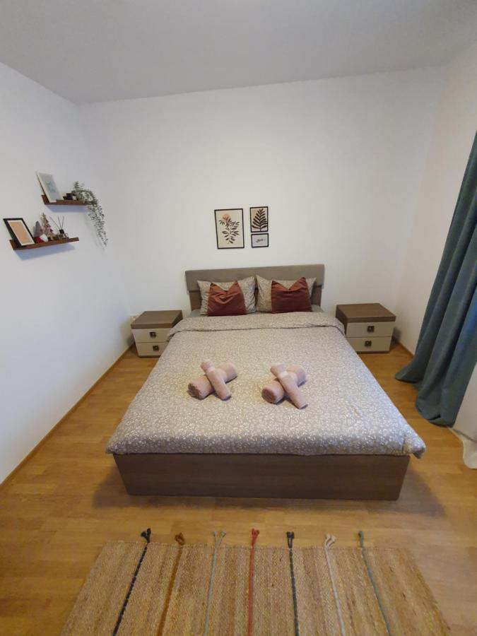 Apartament La Casa In Curte Comuna Appartement Codlea Buitenkant foto