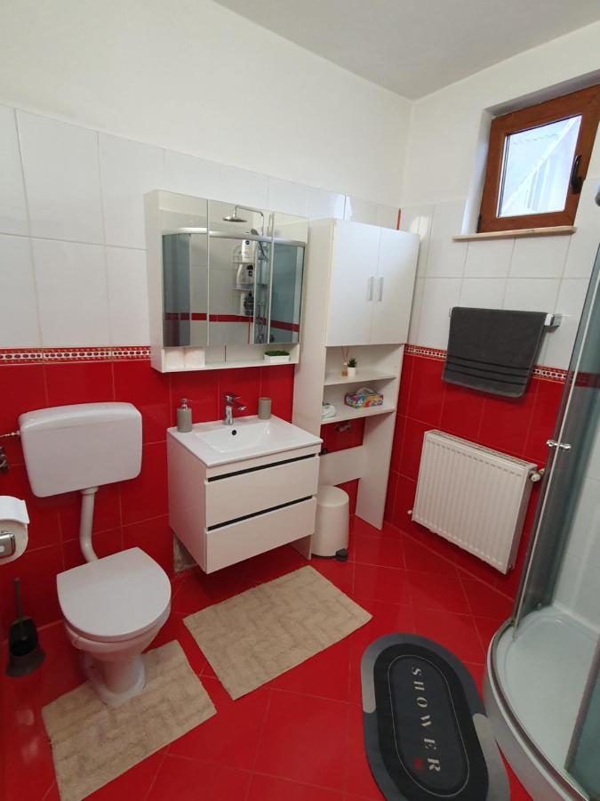 Apartament La Casa In Curte Comuna Appartement Codlea Buitenkant foto