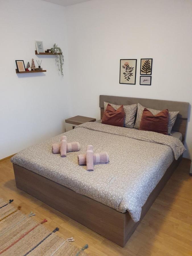 Apartament La Casa In Curte Comuna Appartement Codlea Buitenkant foto